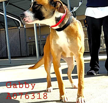 Photo of Gabby Lynn