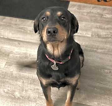 Photo of Ellie Benelli