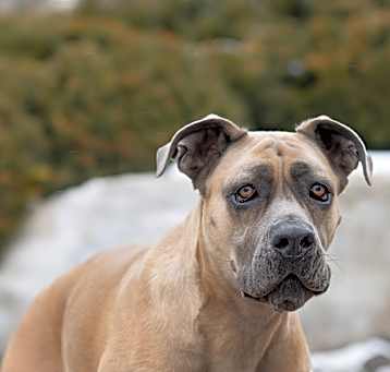 Photo of Avery