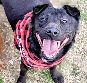Photo of Aspen