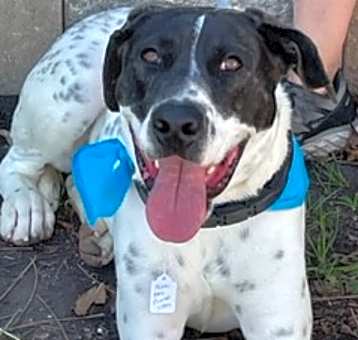 Photo of Jasper