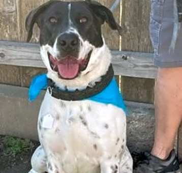 Photo of Jasper