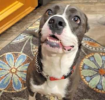Photo of TEETER