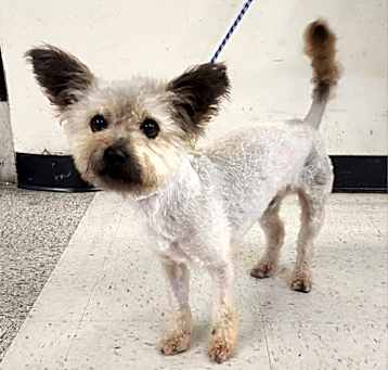 Photo of Toto