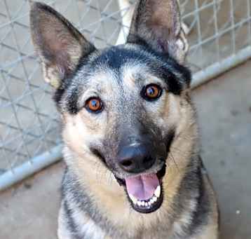 Photo of Candy