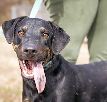 Photo of Axle