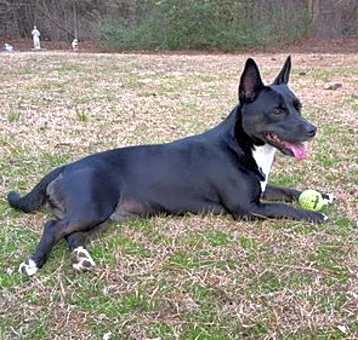 Photo of Luna