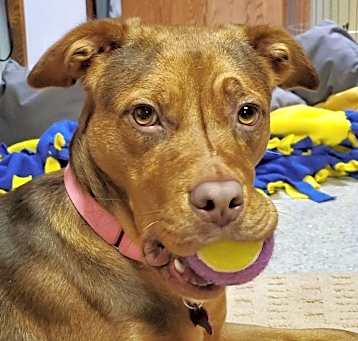 Photo of Kali