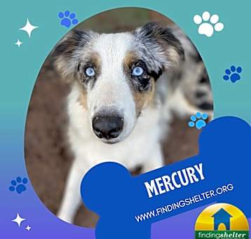 Photo of Mercury