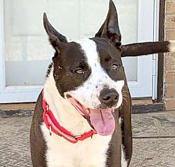 Photo of FINN