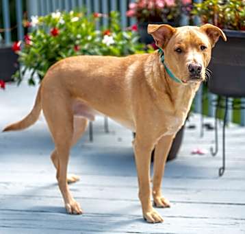 Photo of Willis