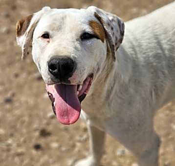Photo of Gambit