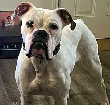 Photo of Rogue
