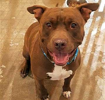Photo of Taz