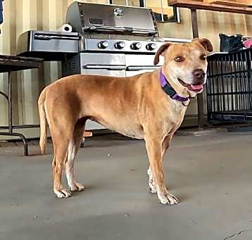 Photo of Lucy