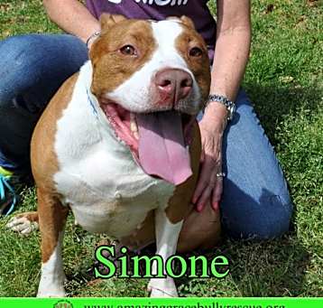 Photo of Simone