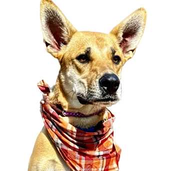 Photo of Ricky