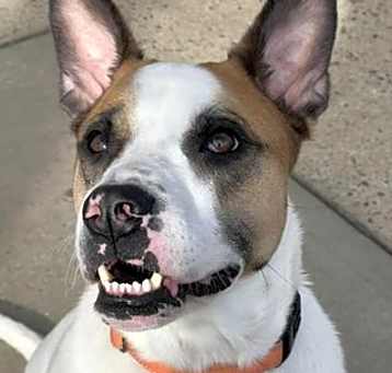Photo of Murphy