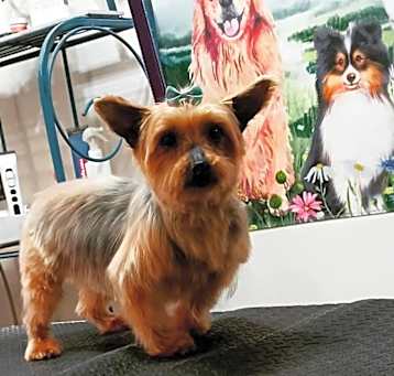 Photo of Shyanne