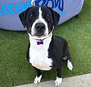 Photo of Maggie
