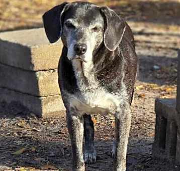 Photo of Grammie