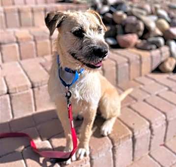 Photo of Alfred