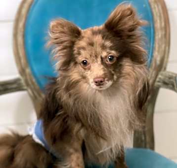 Photo of Zuko