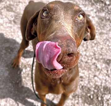 Photo of Mabel