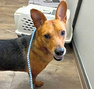 Photo of Max