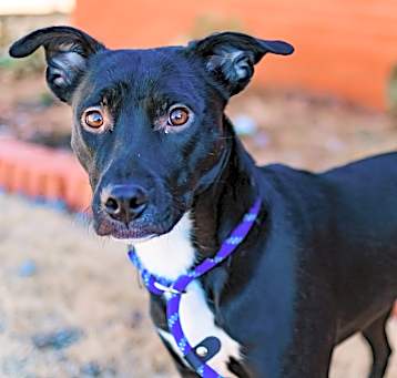 Photo of Storm