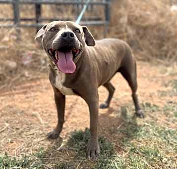 Photo of Cash