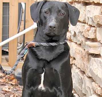 Photo of Ricky Cocoa