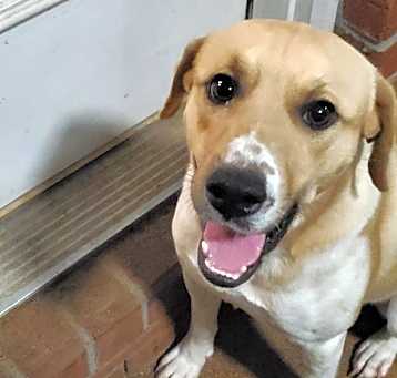 Photo of SHILO