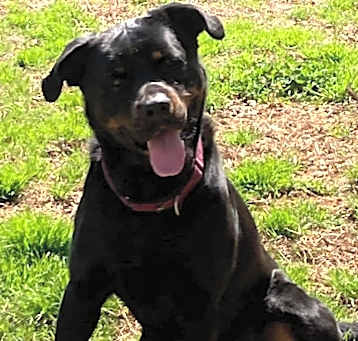 Photo of TANKER