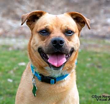 Photo of Rudy