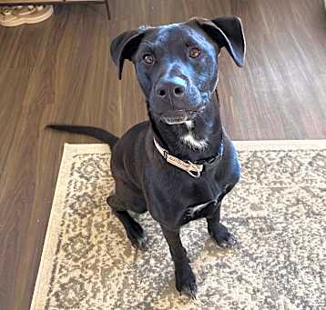 Photo of Max