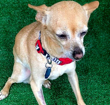 Photo of Bonita