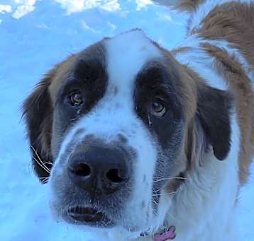 Photo of Latigo