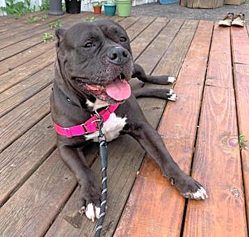 Photo of Ellie