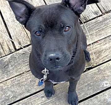 Photo of Millie