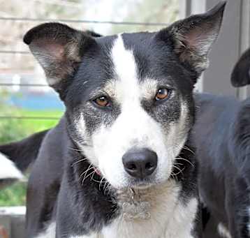 Photo of SKITTLES