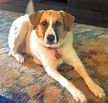 Photo of Mia