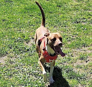 Photo of Bella