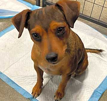 Photo of Lucy