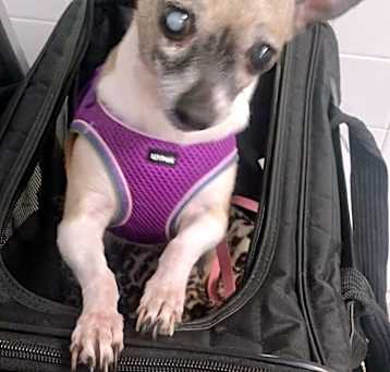 Photo of Ellie Sue