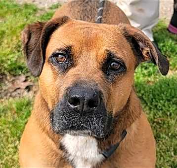 Photo of Stella