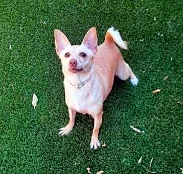 Photo of Minnie