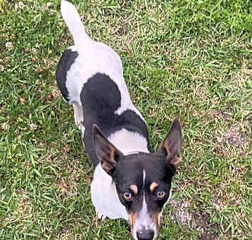Photo of Puddles