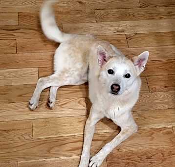 Photo of Pipi