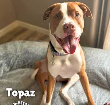 Photo of Topaz